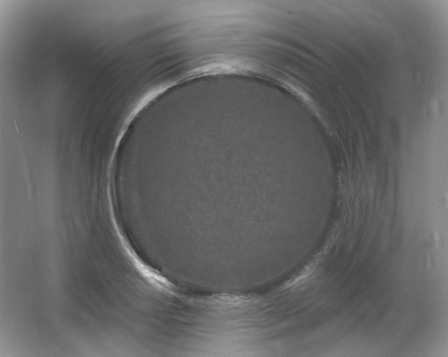 X0000064721034200602101118