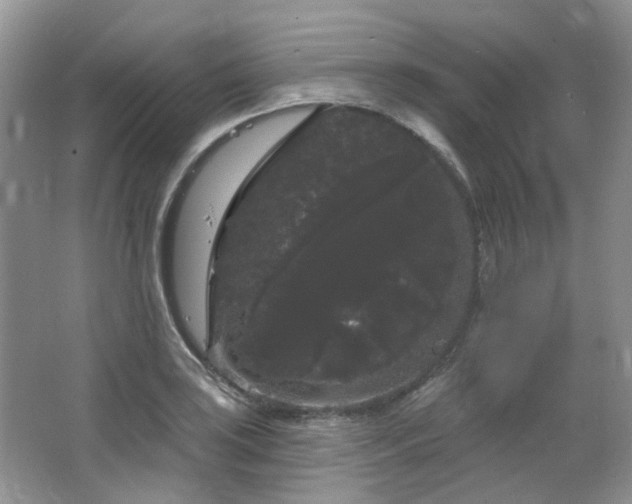 X0000064721035200602101118