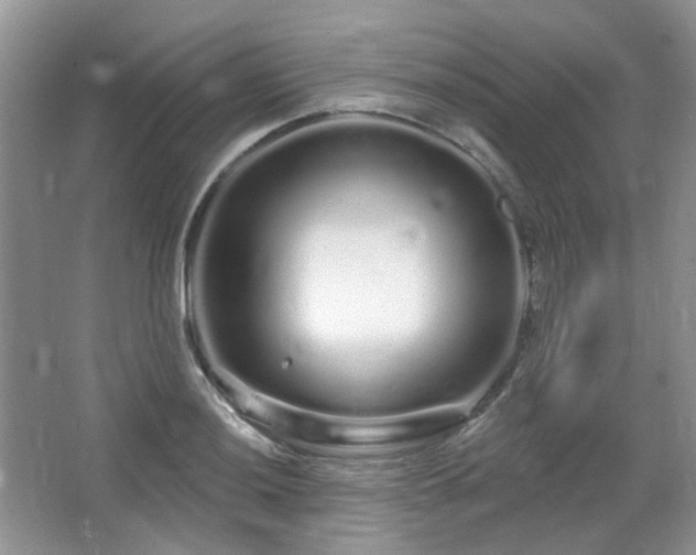 X0000064721036200602101118