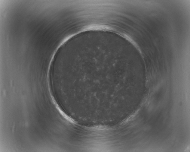 X0000064721037200602101118