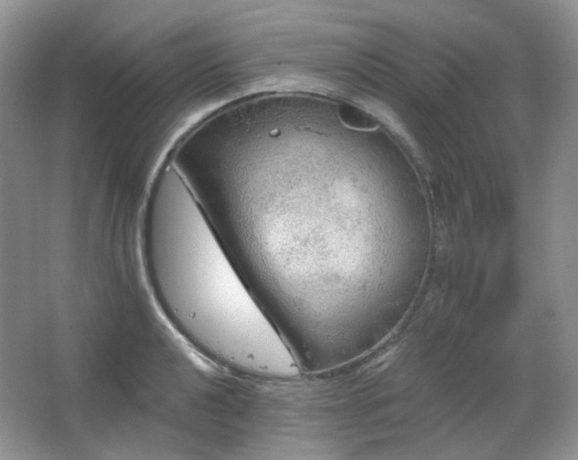 X0000064721040200602101119