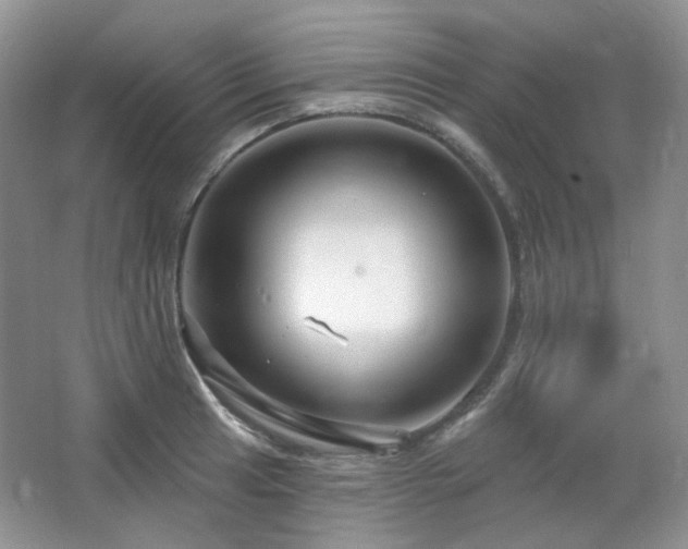 X0000064721041200602101119