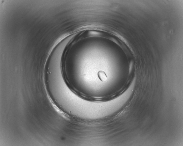 X0000064721042200602101119