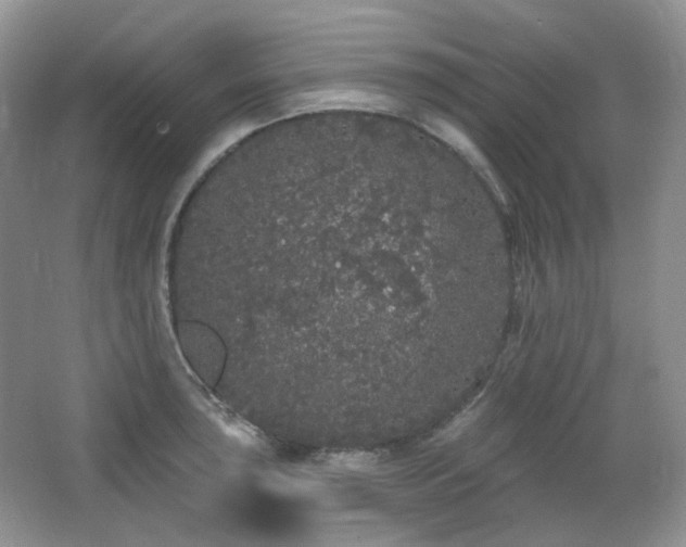 X0000064721043200602101119