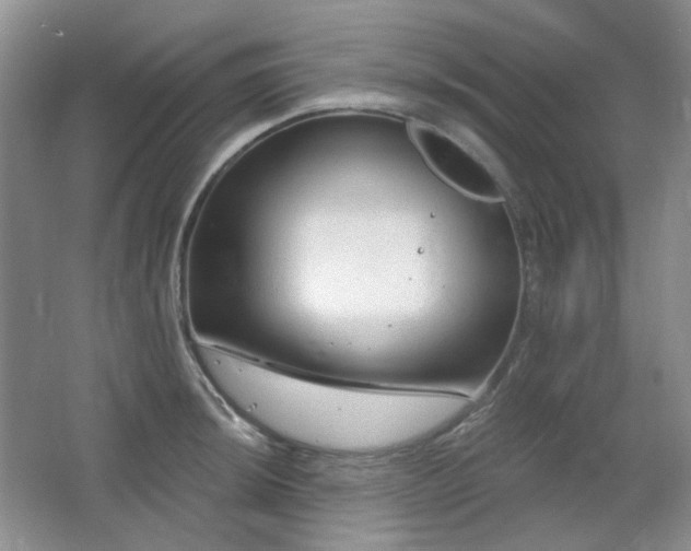 X0000064721044200602101119