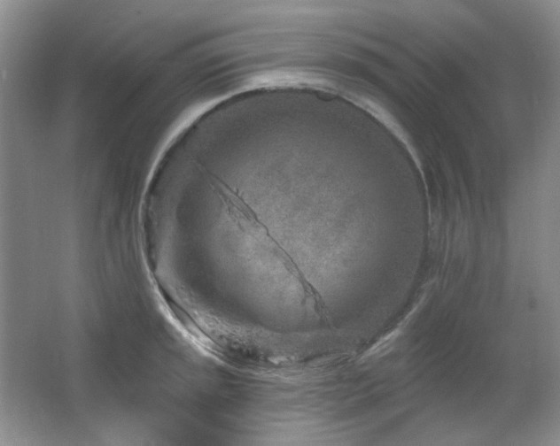 X0000064721045200602101119