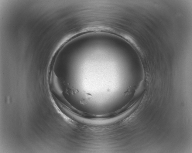 X0000064721046200602101119