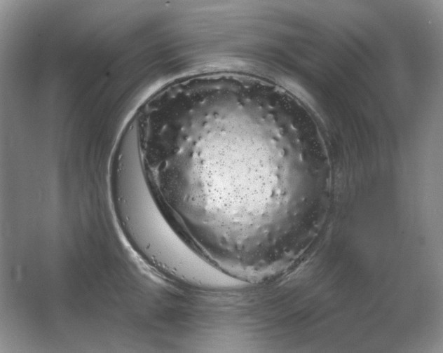 X0000064721047200602101119