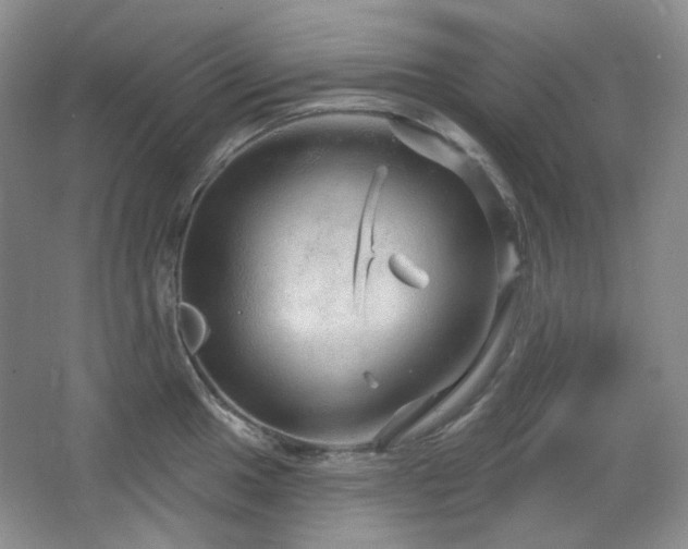 X0000064721049200602101119