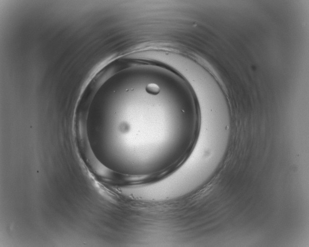 X0000064721050200602101119