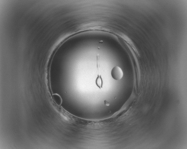 X0000064721051200602101119