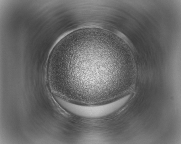 X0000064721052200602101119