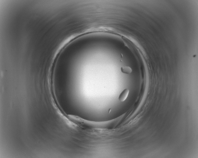 X0000064721054200602101119