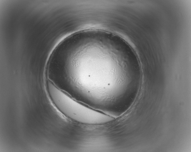 X0000064721056200602101119