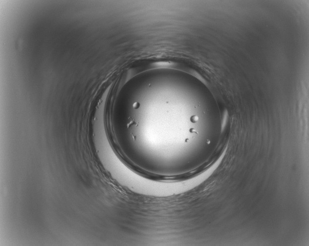 X0000064721057200602101118