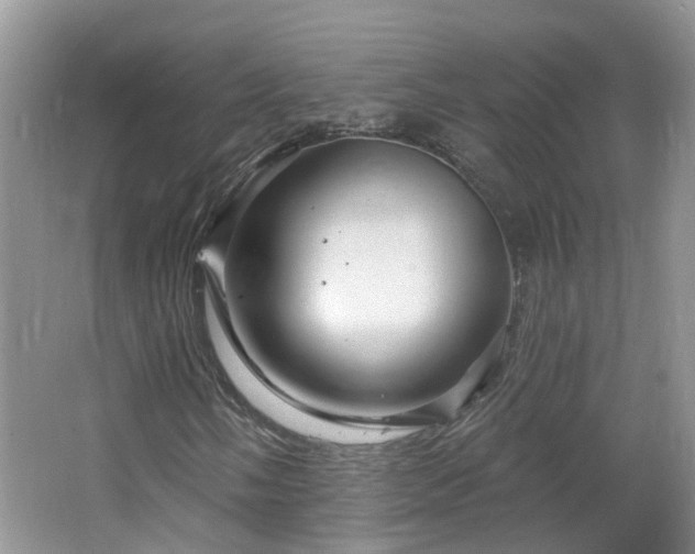 X0000064721058200602101118