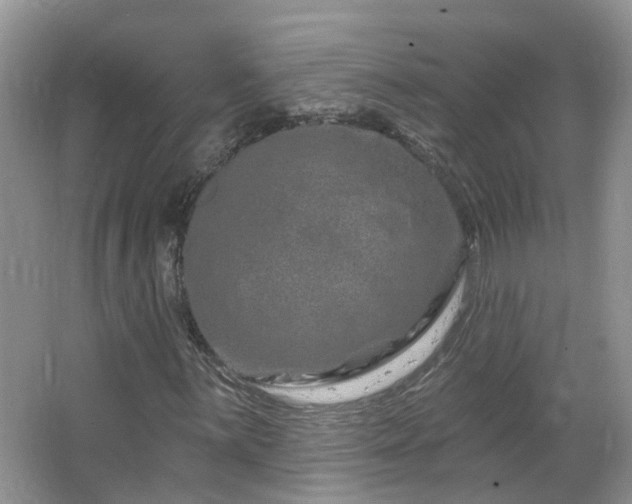 X0000064721059200602101118