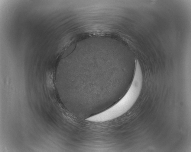 X0000064721060200602101118