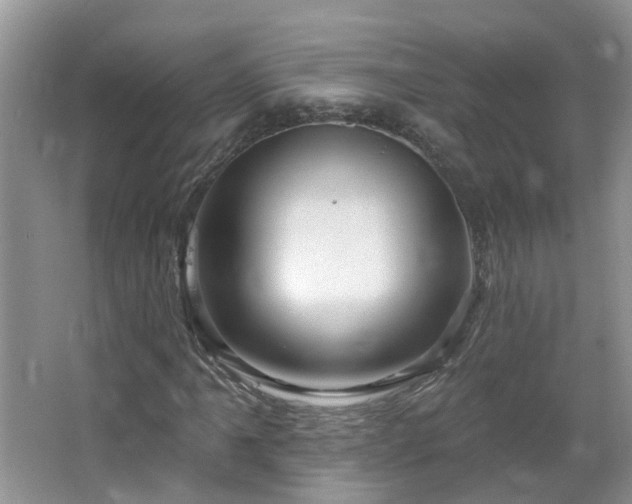 X0000064721061200602101118