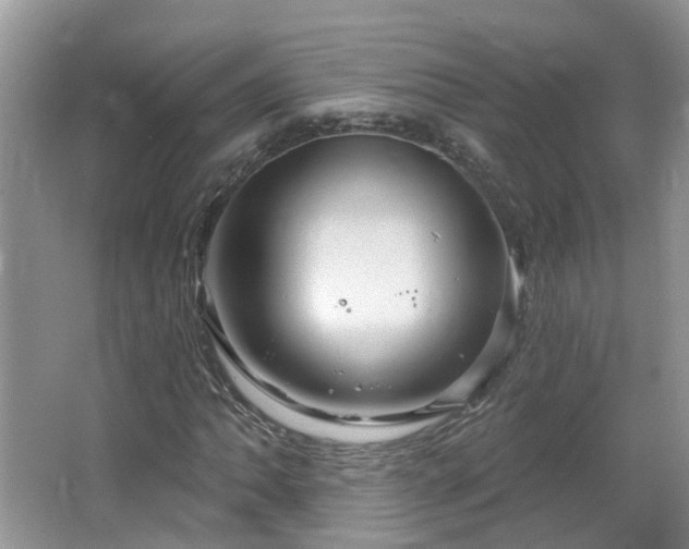 X0000064721062200602101118