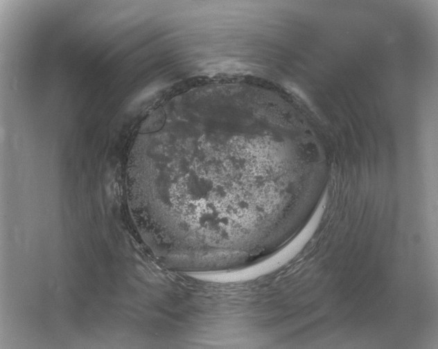 X0000064721063200602101118