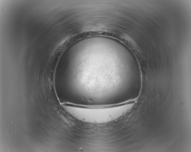 X0000064721064200602101118