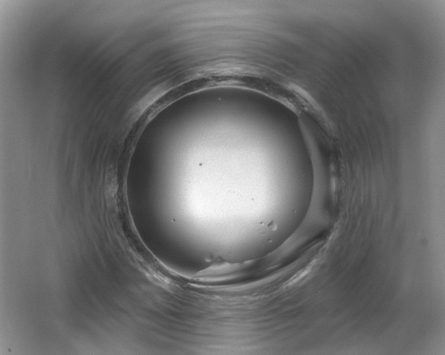 X0000064721065200602101118