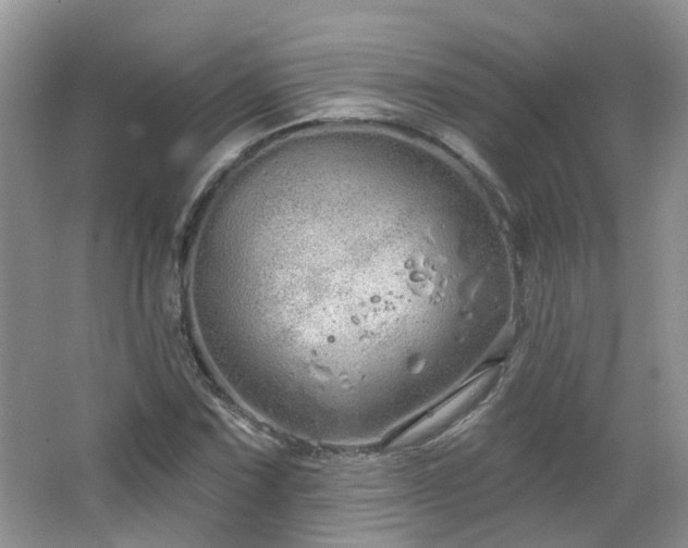 X0000064721067200602101118