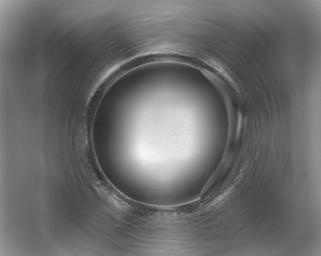 X0000064721069200602101118