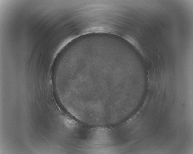 X0000064721070200602101118