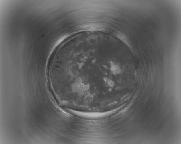 X0000064721071200602101118