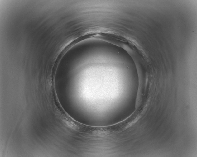 X0000064721073200602101118