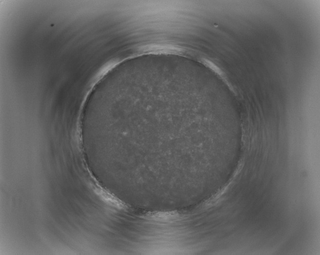 X0000064721074200602101118