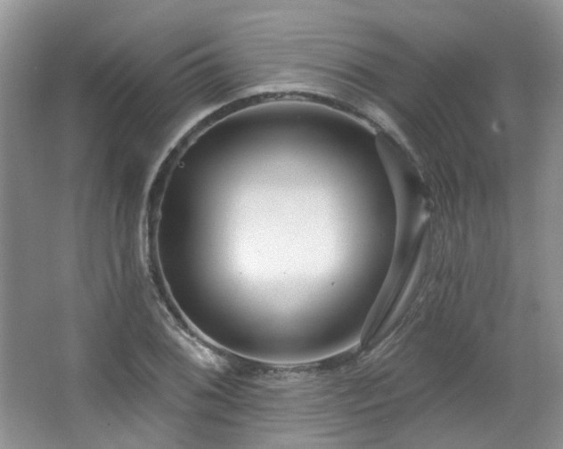 X0000064721076200602101118