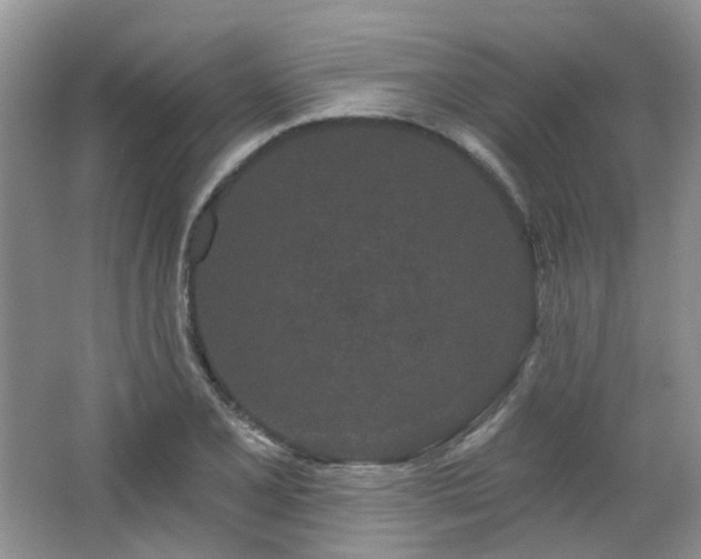 X0000064721077200602101118