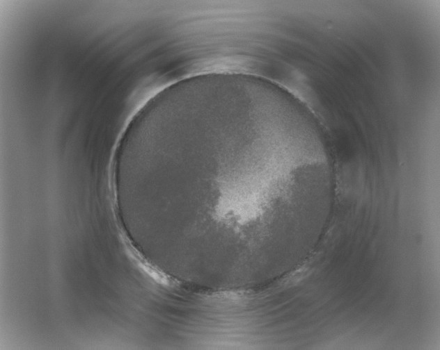 X0000064721078200602101118