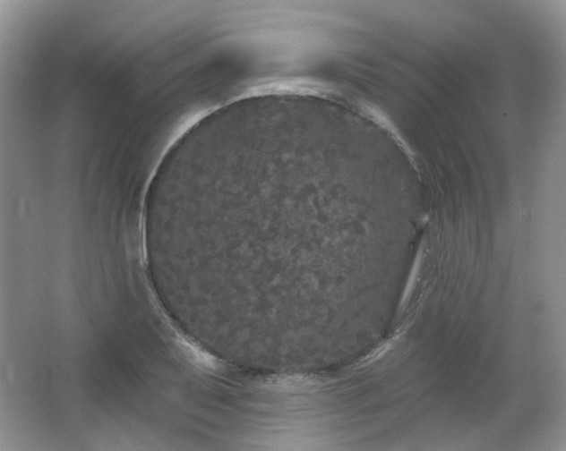 X0000064721079200602101118