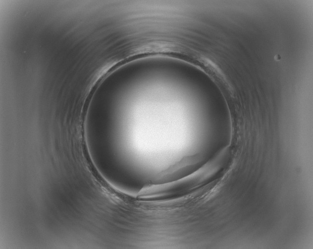 X0000064721081200602101118