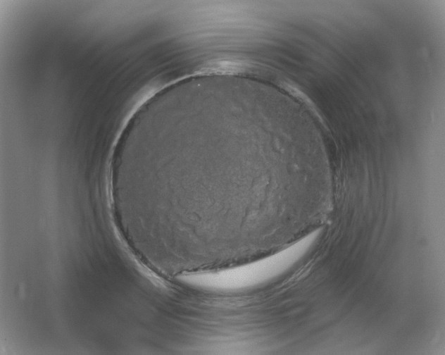 X0000064721083200602101118