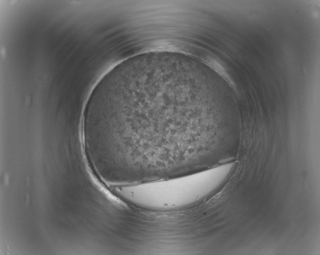 X0000064721084200602101118