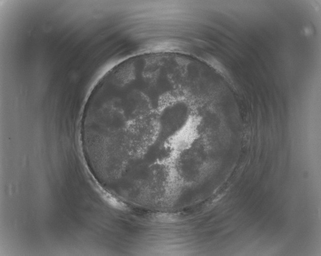 X0000064721086200602101117