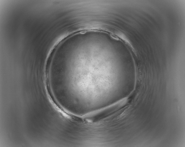 X0000064721088200602101117