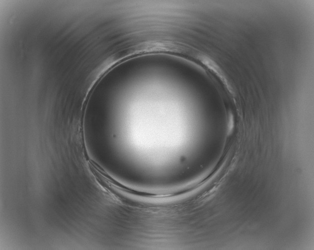 X0000064721089200602101117