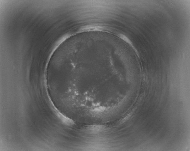 X0000064721090200602101117