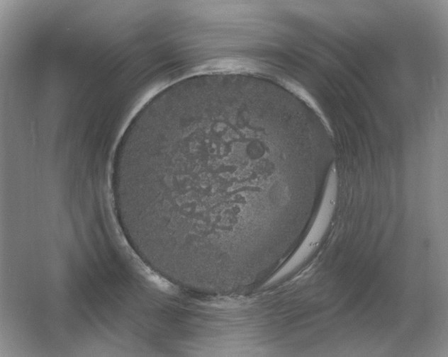 X0000064721091200602101117