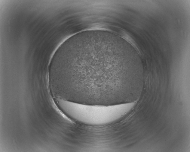 X0000064721092200602101117