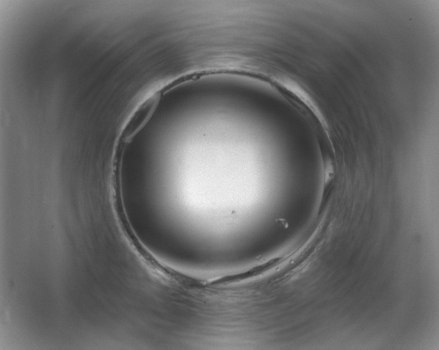 X0000064721093200602101117