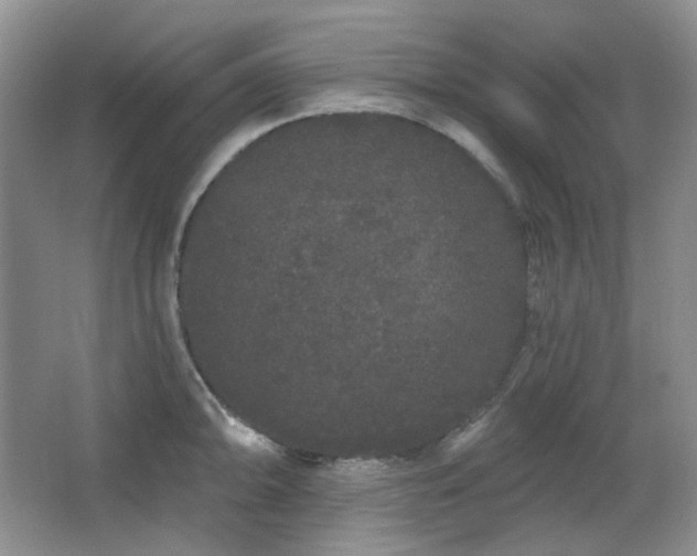 X0000064721094200602101117