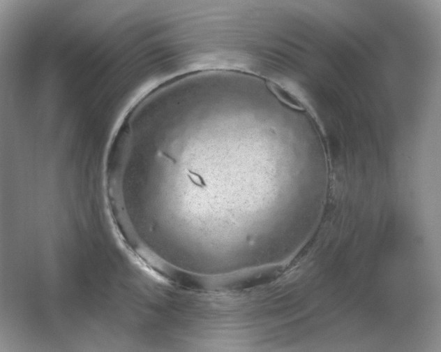 X0000064721096200602101117