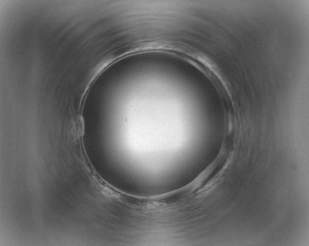 X0000064721097200602101117